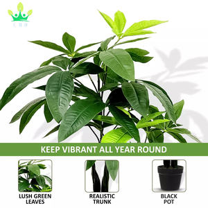 ต้นไม้ <span class=keywords><strong>Pachira</strong></span> Aquatica เทียมขนาด80ซม. ปลูกในกระถางใบไม้สีเขียวประดับในกระถางสวนสำนักงานบ้านตกแต่งห้อง - Product Image 3