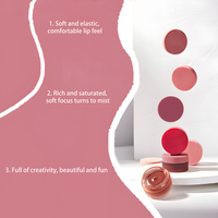 Labial Líquido Personalizado MLM, Vegano, Cruelty Free, Mousse Mate, Labial Líquido Hidratante, Brillo Labial Rojo Terciopelo