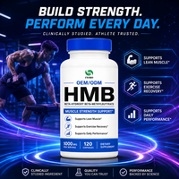 Capsules de calcium HMB certifiées GMP pour la récupération musculaire après l'entraînement, poudre HMB personnalisée, supplément de nutrition sportive pour la récupération, fabrication en usine
