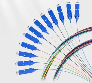 Nueva llegada precio competitivo 0,6mm LSZH 12 núcleos SC UPC Cable de conexión de fibra óptica pigtails
