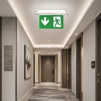 Luz de Señalización de Salida de Emergencia LED Recargable, Blanca Fría, para Seguridad contra Incendios, Empotrada en el Techo