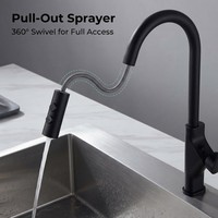 Robinet de cuisine noir mat avec douchette extractible et modes de jet double, monocommande à arc haute pour évier de cuisine domestique