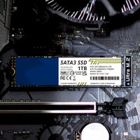 قرص صلب SSD بسعة 1 تيرابايت من مصنع شنزن بسعر الجملة، M.2 SATA 2280، قرص صلب فائق السعة SSD SATA III