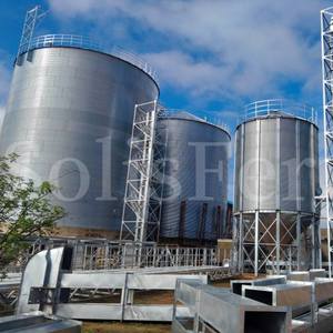 ไซโลเหล็กชุบสังกะสีก้นแบนแบบจุ่มร้อน1000T ความจุใหม่สำหรับการจัดเก็บธัญพืชสำหรับการก่อสร้างในฟาร์ม - Product Image 4
