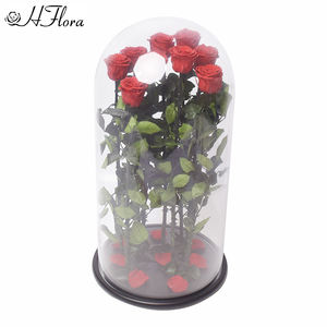 แก้วทรงโดมขนาด30*60ซม. งานตามสั่งใหม่ทำจากดอกกุหลาบในแก้วขนาดยักษ์ที่มีคุณภาพสูงปรับปรุงบ้านของขวัญครบรอบ - Product Image 2