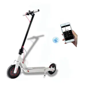 Elektrische Scooter Volwassen Twee Wiel Krachtige Long Range Elektrische Scooter