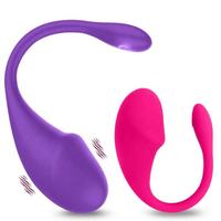 APP-Fernbedienung USB-Aufladung 10 Frequenzen Vibrierendes Ei Erwachsenen-Sexspielzeug G-Punkt-Stimulierender Bullet-Massager