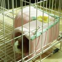 Jouet Tunnel amovible confortable pour petits animaux chaud cobaye cachette maison lapin Tube hamac petits animaux Cage accessoires