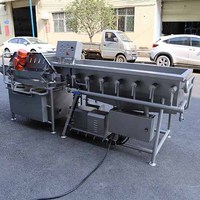 Dezoton voorgeknipte groenteverwerkingslijn groentewasmachine voor maïs, radijs, aardappel, wilde groenten, week- en spuitwasser