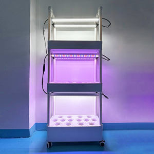 Estante para Macetas de 1-4 Niveles, Soporte para Plantas, Estante de ABS para Viveros, Invernaderos y Cultivo en Jardín, ODM - Product Image 4