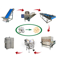 Elektrische automatische roestvrijstalen motor met zilvergrijze lagers, hoog rendement, machine voor het verwerken van fruit, groenten en knoflook.