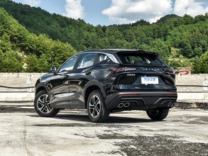 Acceptons les commandes personnalisées – Nouveauté 2025 : SUV Jetour Dasheng au design innovant, voitures essence et hybrides 1.5T, SUV compact très demandé - Product Image 5