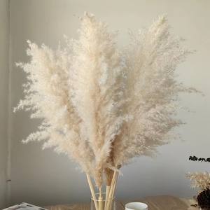 Herbe <span class=keywords><strong>de</strong></span> la pampa, fleurs séchées, tiges <span class=keywords><strong>de</strong></span> roseaux, pommes <span class=keywords><strong>de</strong></span> pin, boules <span class=keywords><strong>de</strong></span> <span class=keywords><strong>coton</strong></span>, fleurs <span class=keywords><strong>de</strong></span> blé naturelles, fleurs préservées, séchées à l'air, 100% naturelles, bricolage - Product Image 4