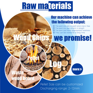 Richi quy mô lớn 8-10t/h gỗ chip mùn cưa PELLET dòng máy gỗ - Product Image 2