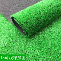 Tapis d'herbe artificielle décoratif d'extérieur E04, imperméable, anti-âge, herbe synthétique pour cour, balcon, mur, clôture