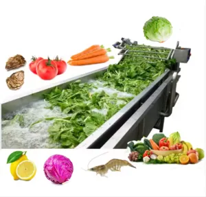 CE Industrial Fresh Vegetable Fruits Cleaning Drying Processing Machinery Dry Dates Washing Machine For Sale