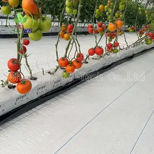 토마토 딸기 온실 재배 배수 홈통 및 스페이서