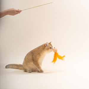 Jouet pour chat en bois avec plume, clochette et boule en corde - Product Image 4