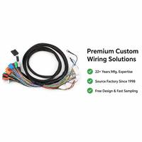 Harness Kabel 20 Pin Kustom, Harness Kabel Mesin Koin & Radio Audio untuk Sistem Speaker Headphone Mikrofon