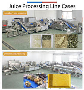 0.5-2.5t/h Commercial Stainless Steel <b>Juice</b> Extracting <b>Machine</b> Fruit and Vegetable <b>Juice</b> Making <b>Machine</b> - Product Image 4
