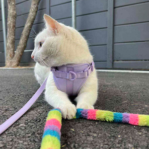 <strong>Cat</strong> <strong>Harness</strong> Premium Manufacturers Luxury Personalized Custom Logo Comfortable Adjustable Neoprene Pet Dog <strong>Harness</strong> - Product Image 1