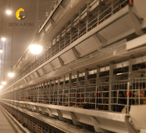 Cage de pontage de type H Jinmuren résistante aux intempéries, <span class=keywords><strong>traitement</strong></span> galvanisé premium, adaptable à divers environnements agricoles, cycle de service longue durée - Product Image 5