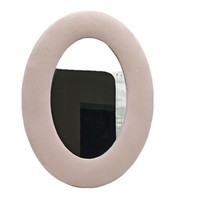 Nouveau miroir de maquillage de bureau pour dortoir étudiant en Chine, en velours Teddy, design moderne et simple, forme extraterrestre, plusieurs styles disponibles