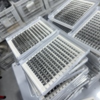 Kit de cils individuels en vison faits à la main, personnalisables, avec base, adhésif et scellant, cils en grappes pré-coupées