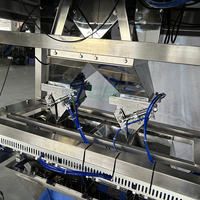 Machine automatique haute productivité pour bonbons aux cacahuètes, système de pesage, remplissage et scellage VFFS, contrôle PLC, étiquetage des sachets alimentaires