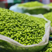 Noyau de soja congelé IQF de la meilleure qualité décortiquées Edamame et légumes de soja vert