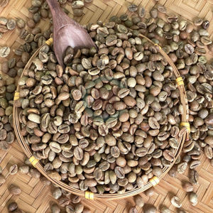 Usine directe Vietnam Robusta grains de café taille 16 A Plus 95-99% pureté haricots verts 60kg sacs approvisionnement en vrac de haute qualité - Product Image 1