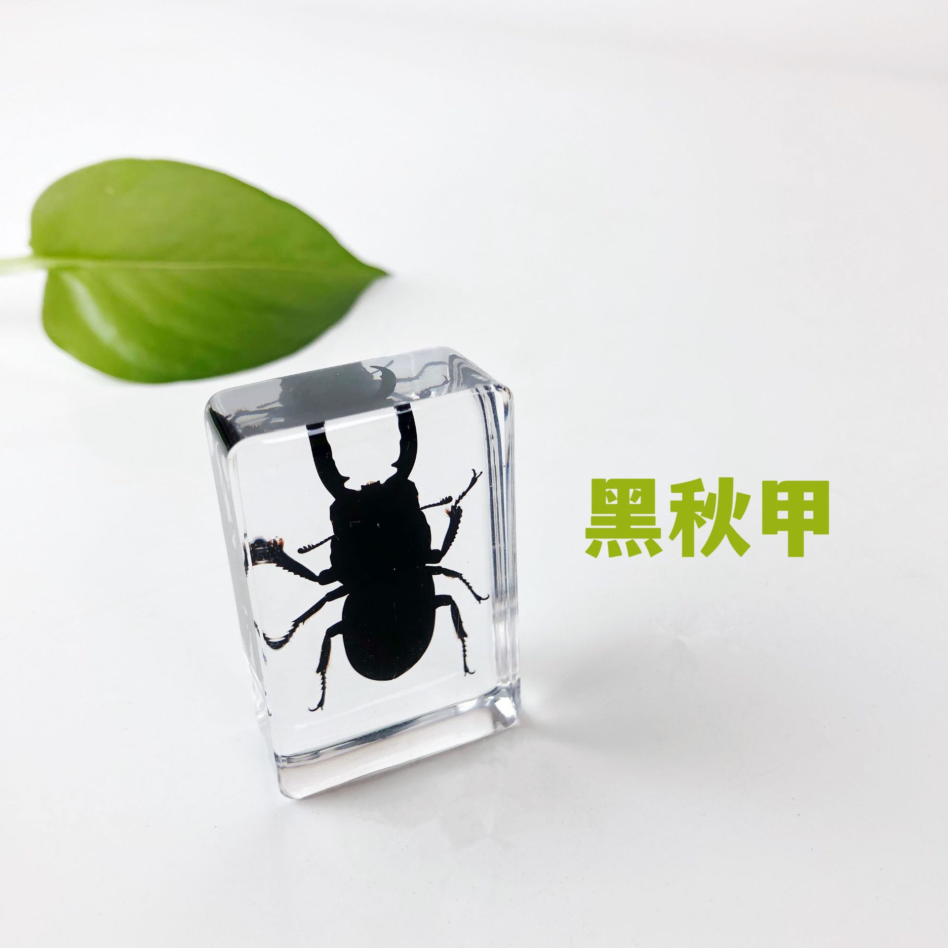 Armure d'automne noire Sp-442916mm