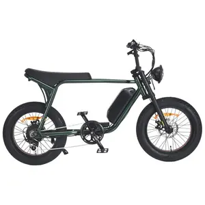 Fast Speed 20 Inch Fat Tire Retro Electric Bicycle