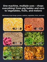 Hachoir multifonctionnel Shuangchao pour herbe, légumes, aliments pour animaux, piments, aliments pour porcs, capacité 30 kg, garantie 3 mois