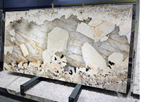 Incroyable dalle de quartzite naturelle Patagonia Pandora de luxe brésilienne polie pour projet de villa de luxe hôtel