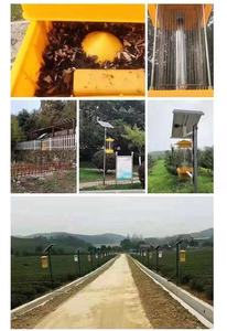 Lámpara <span class=keywords><strong>insecticida</strong></span> solar LED agrícola <span class=keywords><strong>para</strong></span> exteriores, matamosquitos con vibración de frecuencia con atrayente <span class=keywords><strong>para</strong></span> huertos - Product Image 6