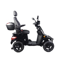 60v1000W Scooter de mobilité électrique à 4 roues Auvent amovible Poids léger Handicapé Accessible 1000W Ceinture de sécurité Approuvé EEC