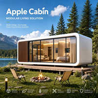 Maison conteneur préfabriquée 20/40 pieds, type Apple Cabin Capsule, avec salle de bain et chambre, pour hôtel, villa, café
