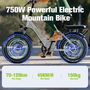 Bicicletas eléctricas de 750W para adultos que doblan la bici eléctrica eléctrica portátil de la ayuda de 48V 18AH