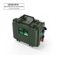 Batterie au lithium portable étanche LifePO4 12V 24V 48V 80Ah 100Ah 120Ah 150Ah 200Ah 300Ah, pack de batterie en valise