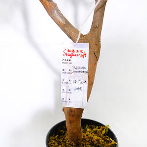 Árbol de <span class=keywords><strong>Olivo</strong></span> Artificial KagaJo <span class=keywords><strong>en</strong></span> <span class=keywords><strong>Maceta</strong></span>, Plástico Ignífugo Resistente a los Rayos UV, Tacto Natural Duradero, Uso <span class=keywords><strong>en</strong></span> Interiores y Exteriores, Altura de 80-320 cm - Product Image 6