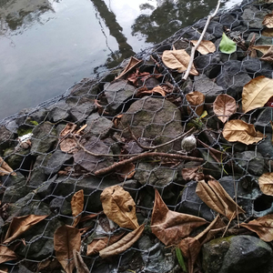 Chất lượng cao 2x1x1m mạ kẽm gabion giỏ 80x100 PVC tráng gabion Nệm ngân hàng bảo vệ Ngân hàng giữ lại tường - Product Image 5