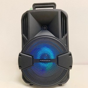 Altavoz Amplificador de Karaoke Portátil Recargable con Subwoofer 3D de 8 Pulgadas, Precio de Fábrica Más Bajo - Product Image 6