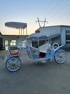 Calabaza Carro de <span class=keywords><strong>caballos</strong></span> Flotador eléctrico Rosa Blanco <span class=keywords><strong>Boda</strong></span> Vehículo eléctrico Sin <span class=keywords><strong>caballos</strong></span> Alta calidad Cenicienta Carro <span class=keywords><strong>para</strong></span> la venta - Product Image 4