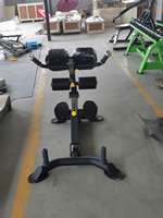 Banc d'extension dorsale pour centre de fitness commercial, machine d'extension dorsale JLC-H7109, chaise romaine d'extension dorsale