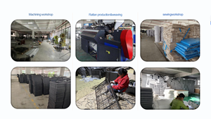 Serra Portatile a 3 Livelli per Interni ed Esterni, Mini Serra Agricola con Porta a Cerniera per Balcone e Patio, Ideale per la Coltivazione di Piante - Product Image 4