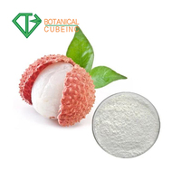 B.c.i Levert Hete Verkoop Instant Vaste Dranken Lychee Lychee Fruitpoeder Lychee-Sappoeder