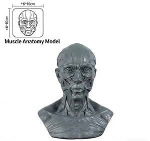 Scultura in Resina di Alta Qualità, Modello Muscolare di Busto <span class=keywords><strong>e</strong></span> Testa Umana, Arte Popolare per Decorazioni da Tavolo di Halloween - Product Image 5