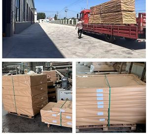Lámina <span class=keywords><strong>de</strong></span> ABS Industrial al por Mayor, Mecanizado CNC, Prototipado, Espesor <span class=keywords><strong>de</strong></span> 12-140 mm, Servicios <span class=keywords><strong>de</strong></span> Galvanoplastia o Pintura, Material Virgen - Product Image 4