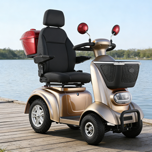 Smooth and Stable/ Spirite-2 500W Adult/ Electric Vehicle/ Grocery Shopping and Child Transport/Parent-Child Version - Product Image 1